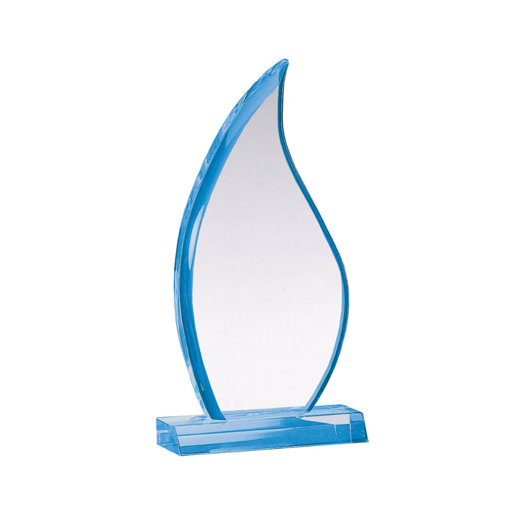 ac-lm-blue-flame-common-sense-awards