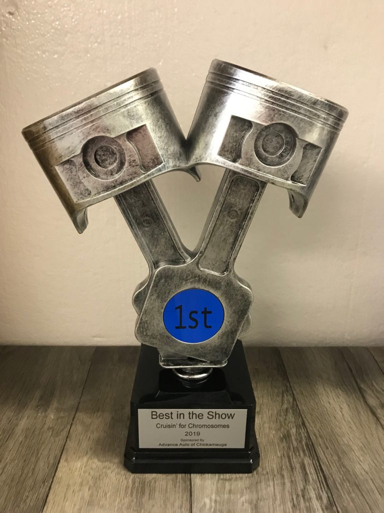 Springston Trophy Piston Trophy - Common Sense Awards